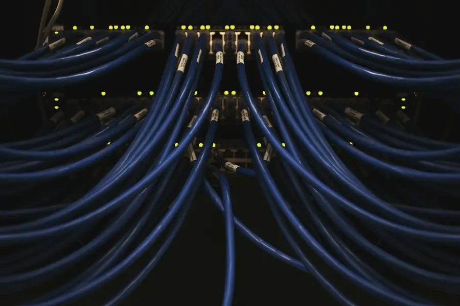 Dense bundles of blue network cables