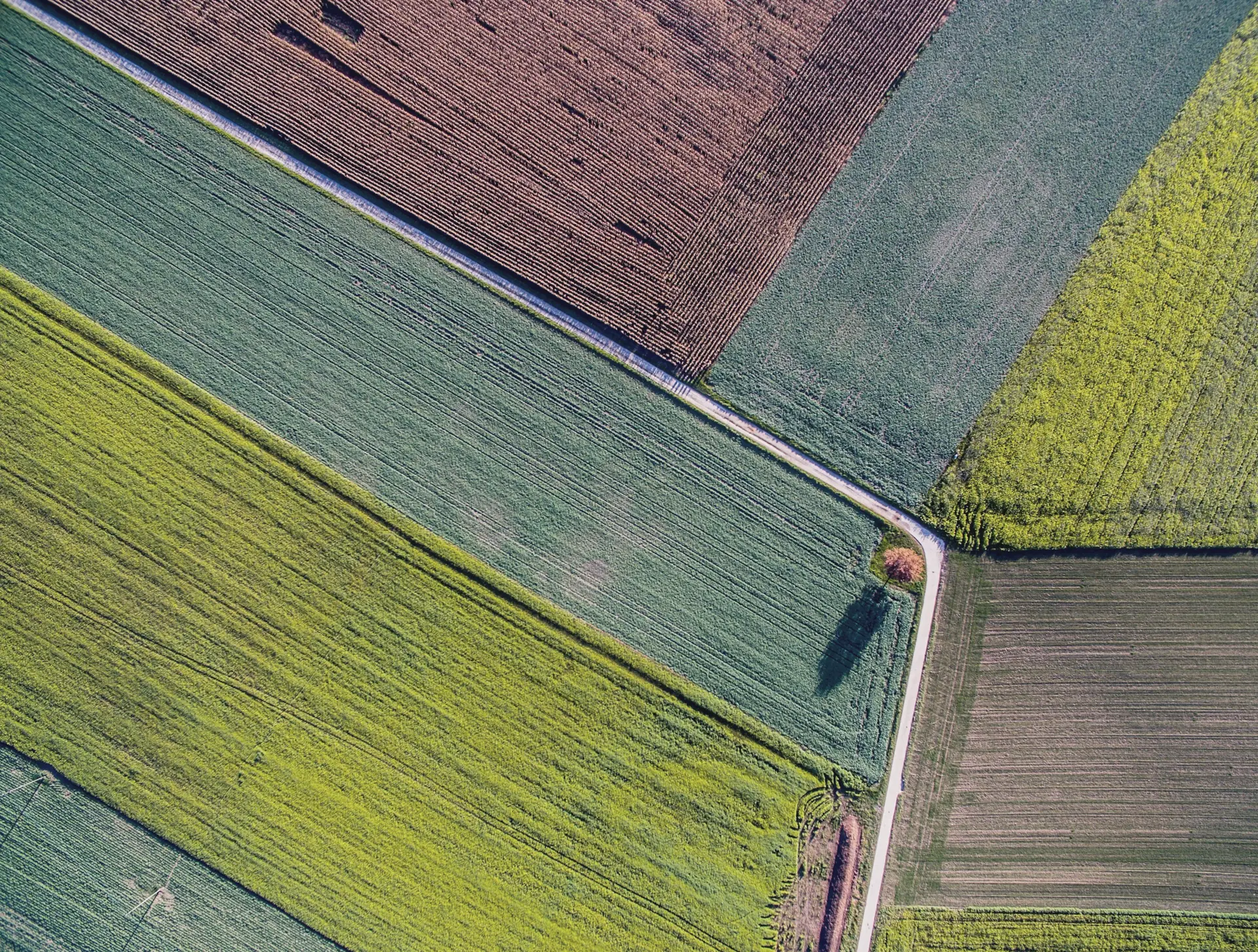Aerial view of patchwork crop fields
