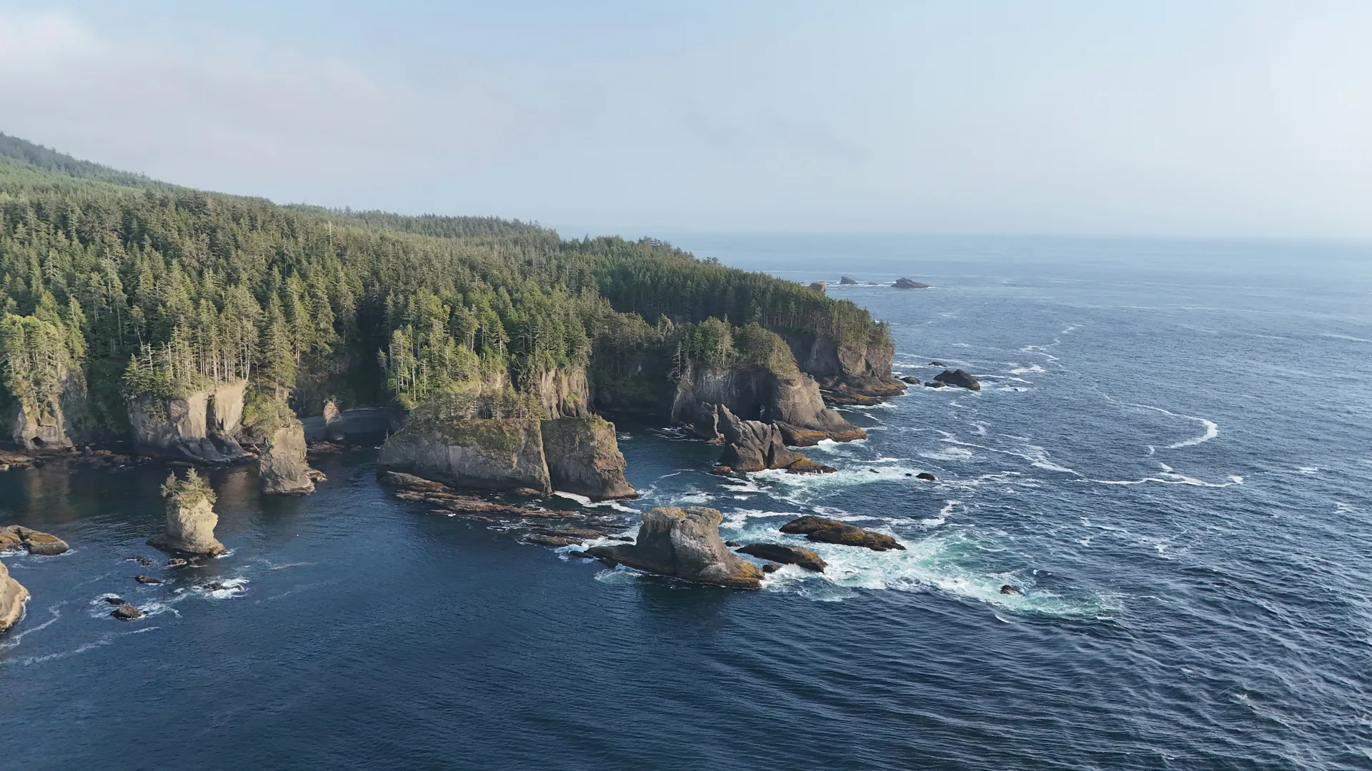 Forest-covered cliffs and sea stacks along a rugged Pacific coast